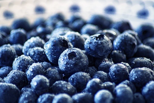Everything you need to know about blueberries