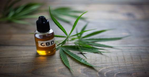Hemp compounds found to fight COVID-19