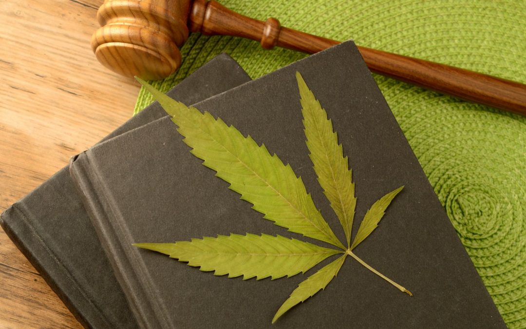 Cannabis Civil War heats up as courts make important rulings about hemp