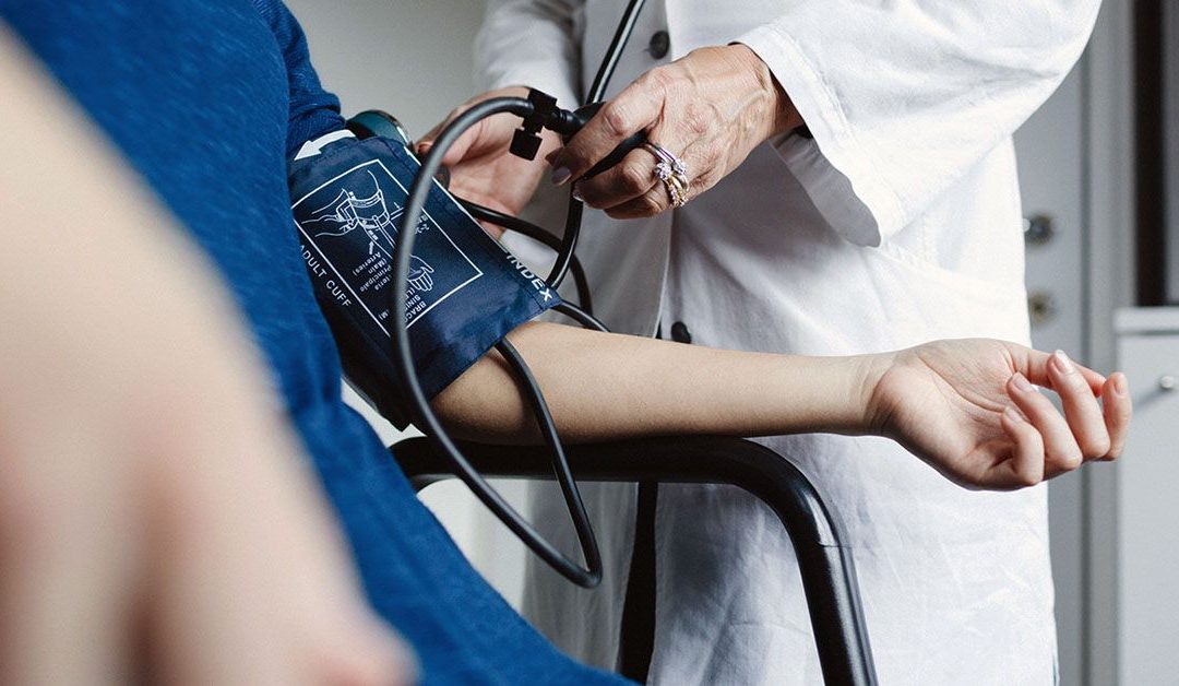 Beige fat may help regulate blood pressure, mice study finds