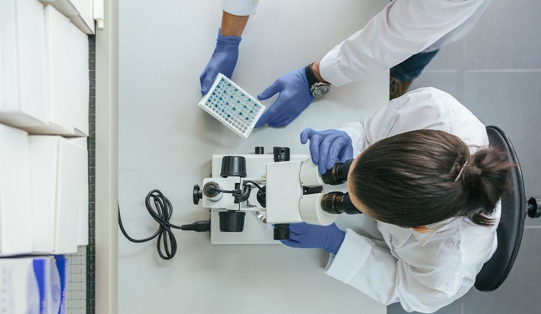 Experimental drug reverses Alzheimer’s in mice