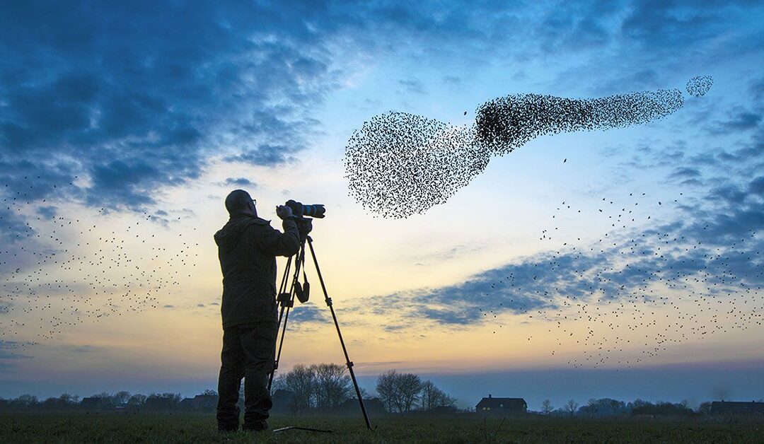 Expert birders have younger brains: How expertise may protect brain health