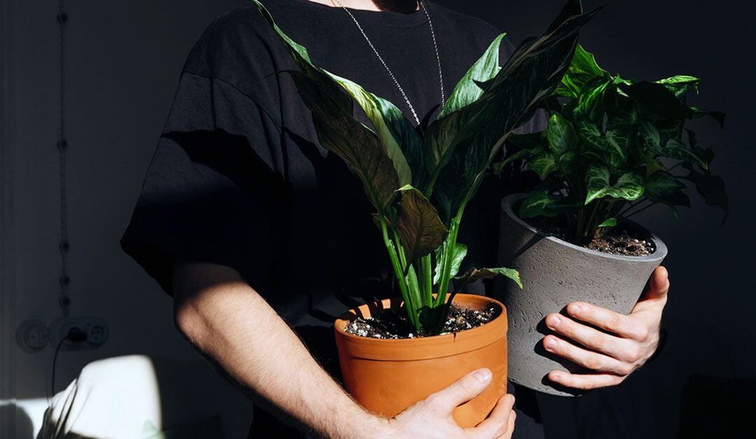 How to stay active beyond exercise: 3 medical experts advise