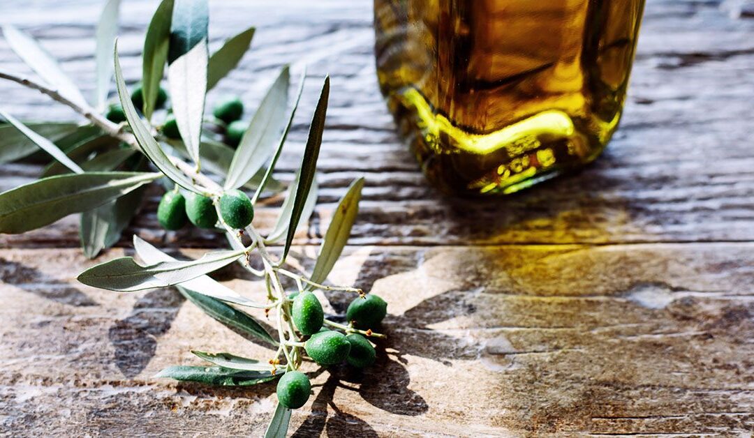Extra virgin olive oil may help better preserve cognitive function than refined