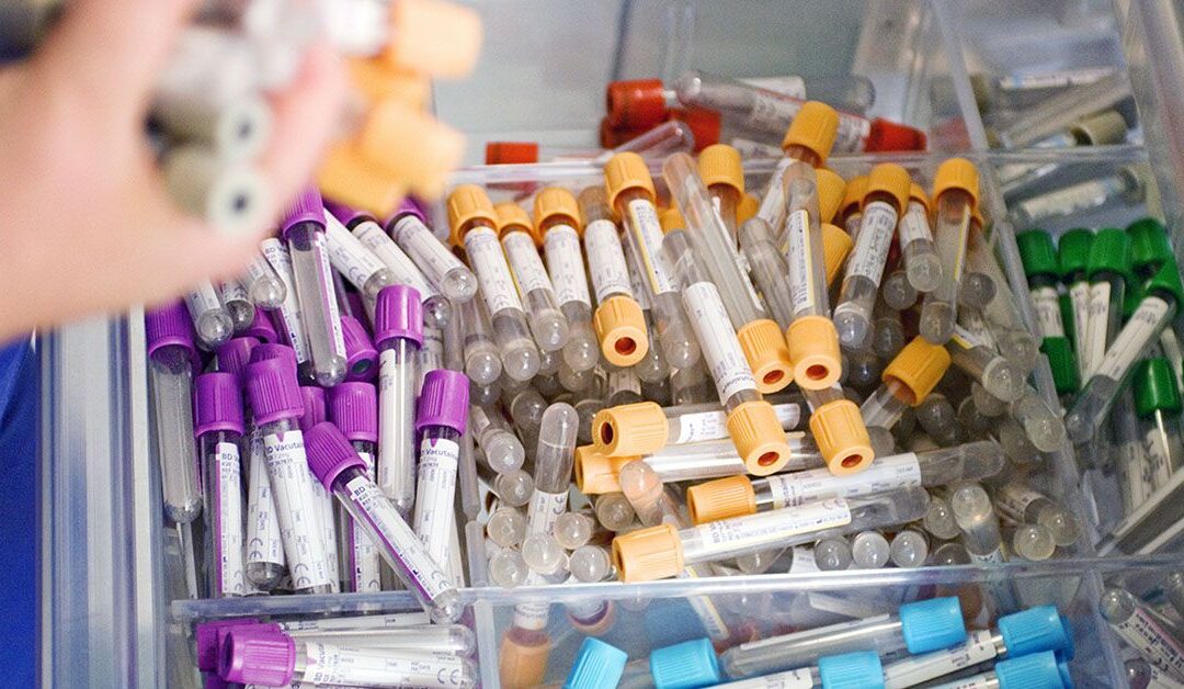 Single blood sample could soon screen for several cancers, study suggests