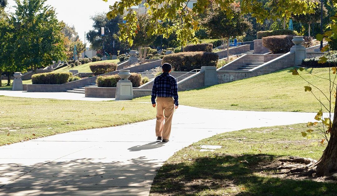 Brain health: Staying more active during the day helps retain brain volume
