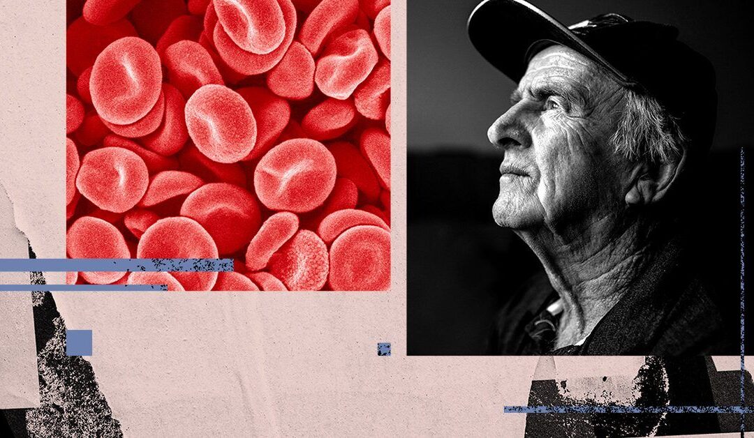 Blood test measuring biological age may reveal dementia risk