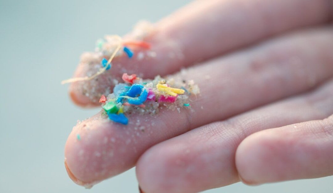 Common packaging microplastic may worsen fatty liver damage, study shows