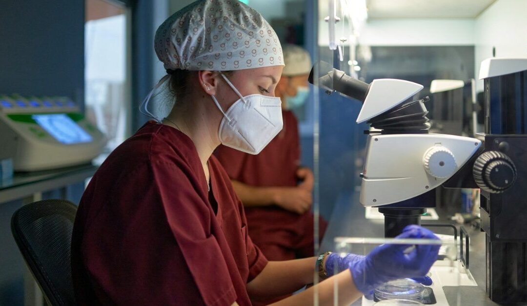 Does fructose contribute to the spread of ovarian cancer? What we know