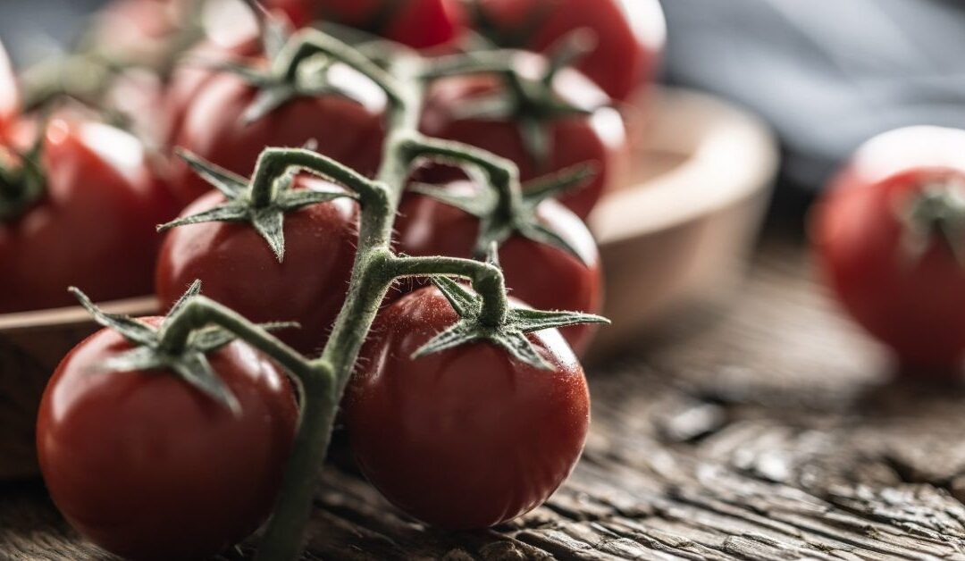 Eating tomatoes daily may help decrease fat buildup in the liver